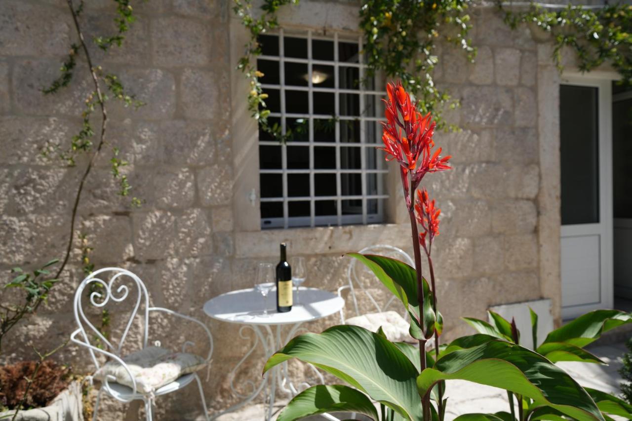 Apartments Visit Perast Bagian luar foto