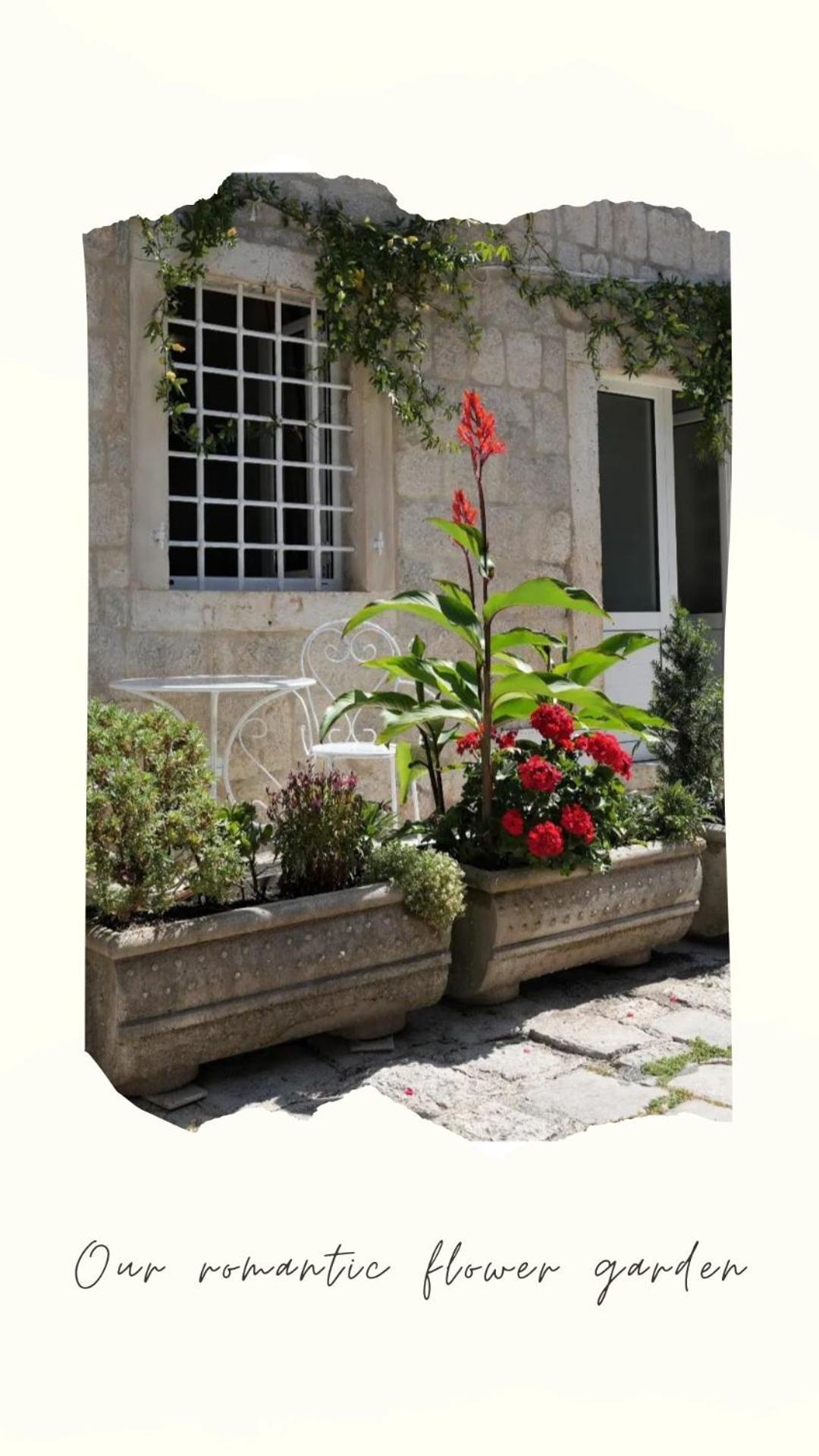 Apartments Visit Perast Bagian luar foto