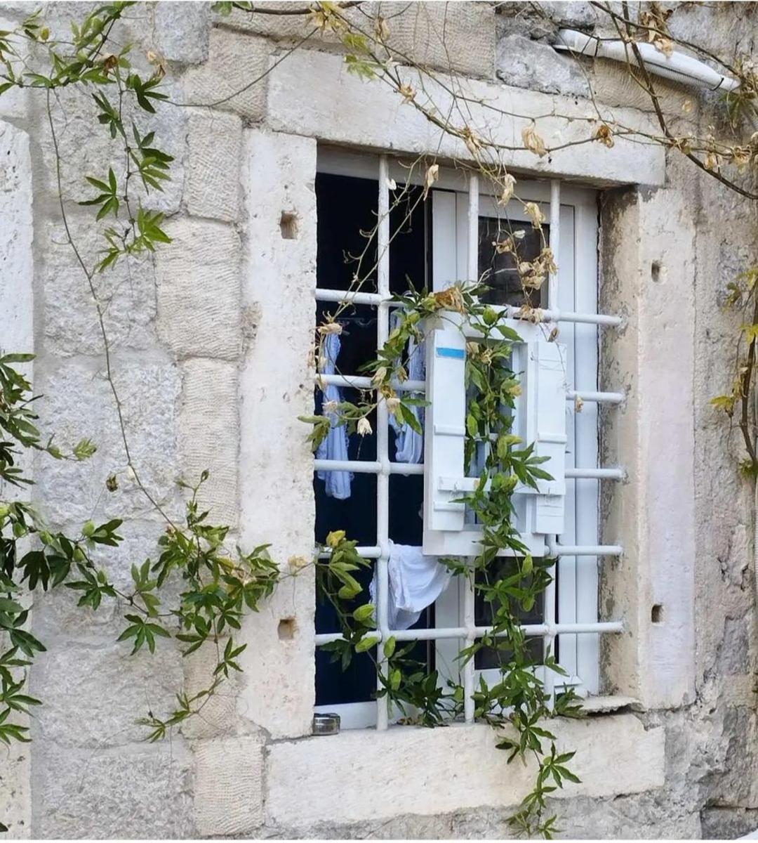 Apartments Visit Perast Bagian luar foto