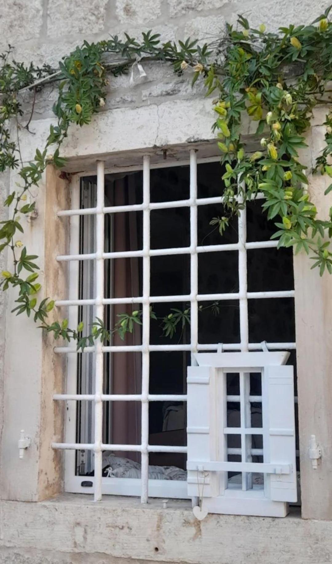 Apartments Visit Perast Bagian luar foto